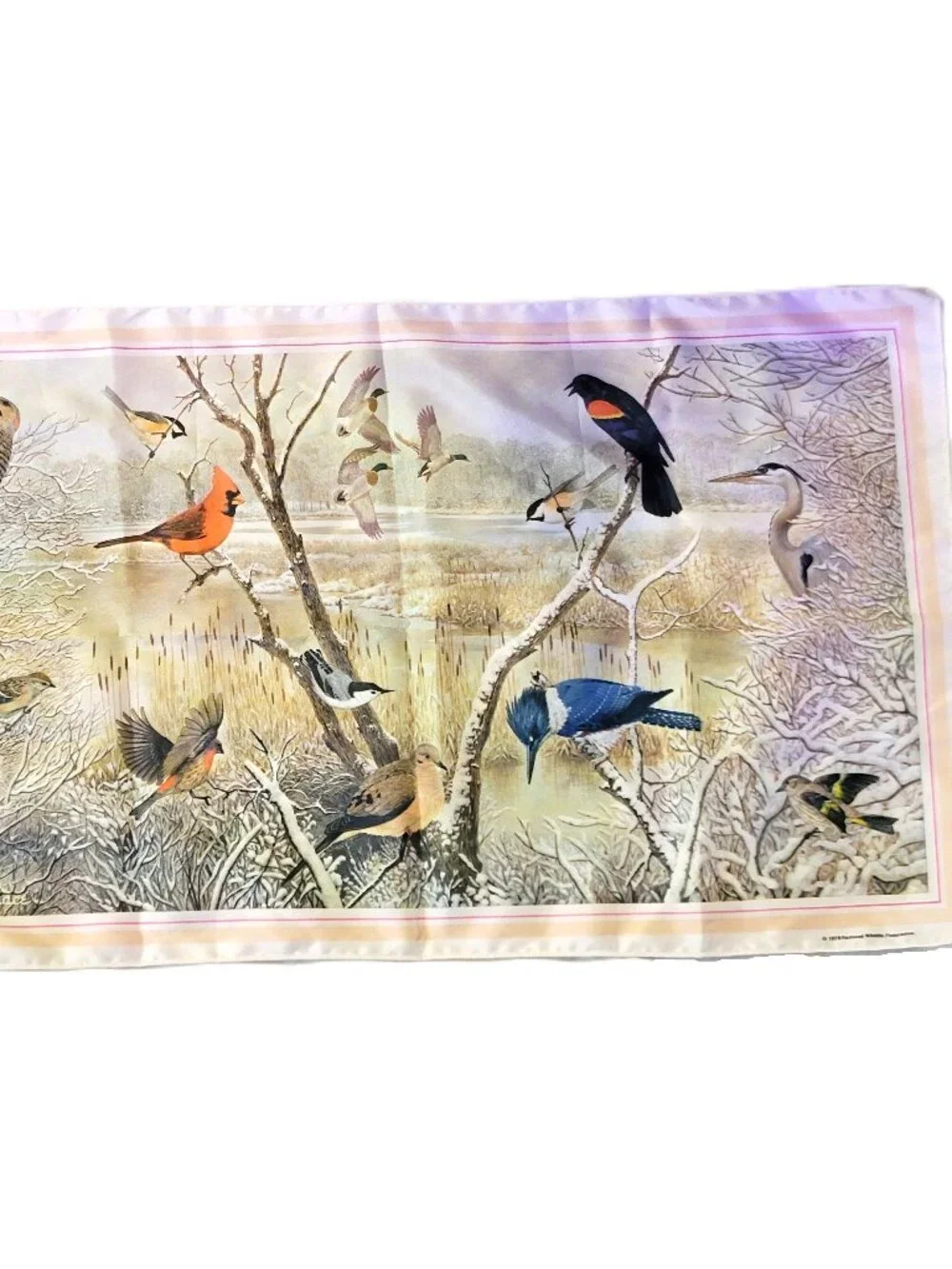 Vintage 1979 National Wildlife Federation Bird Scarf Winter Nature Print 42